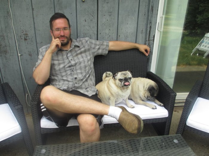 pugs on patio furniture