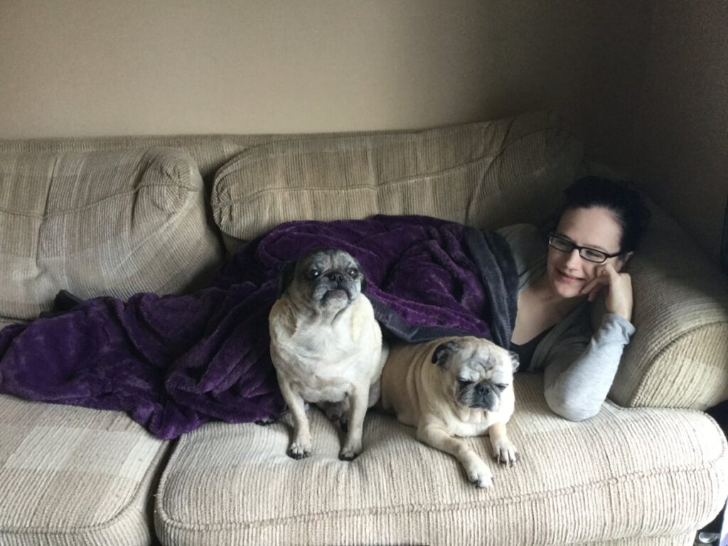 Two pugs on a couch