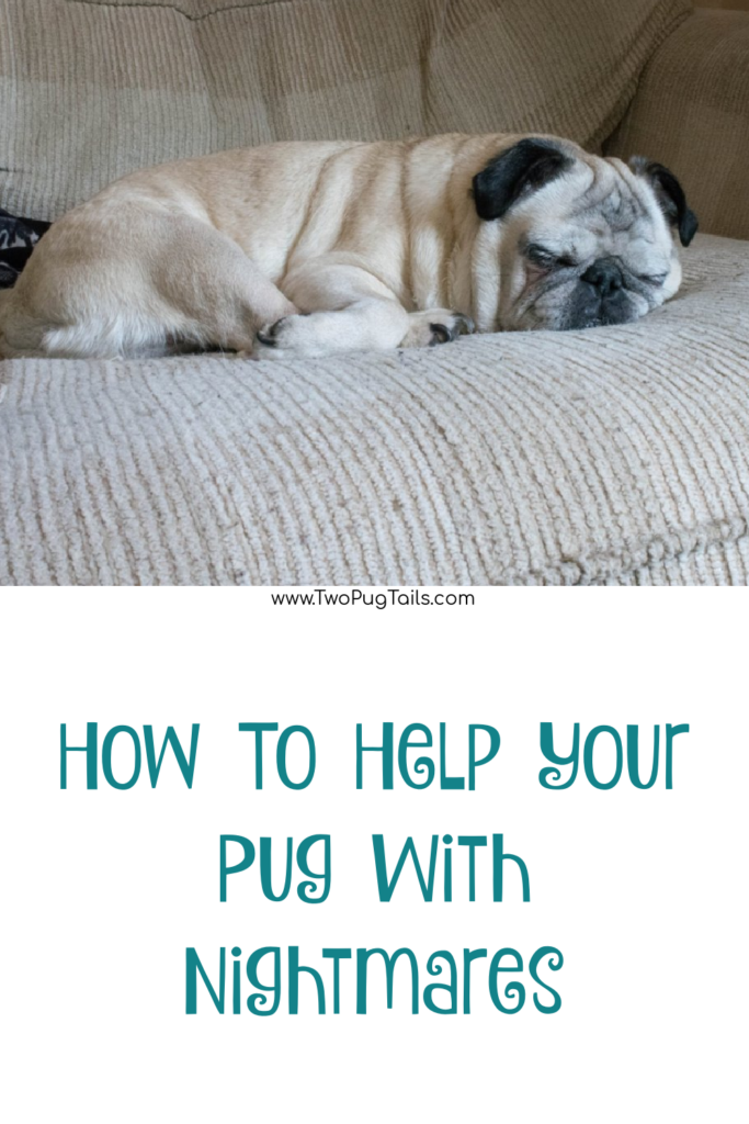 how to help your pug if they have nightmares