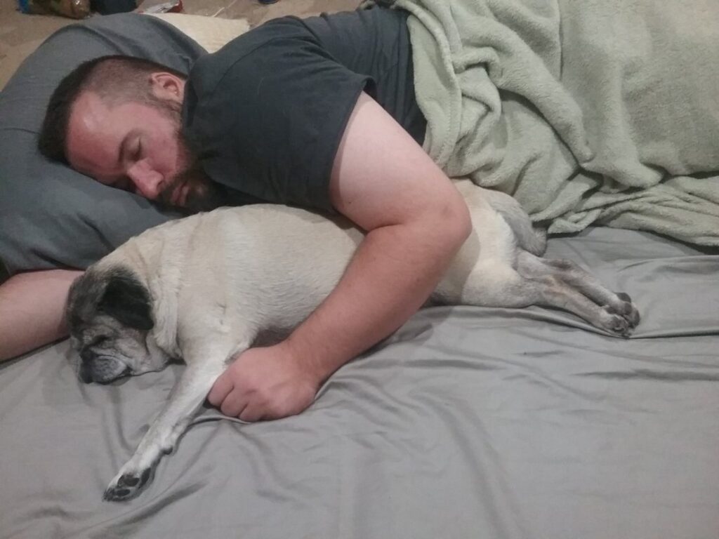 Pug sleeping with owner